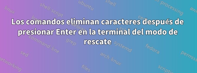 Los comandos eliminan caracteres después de presionar Enter en la terminal del modo de rescate