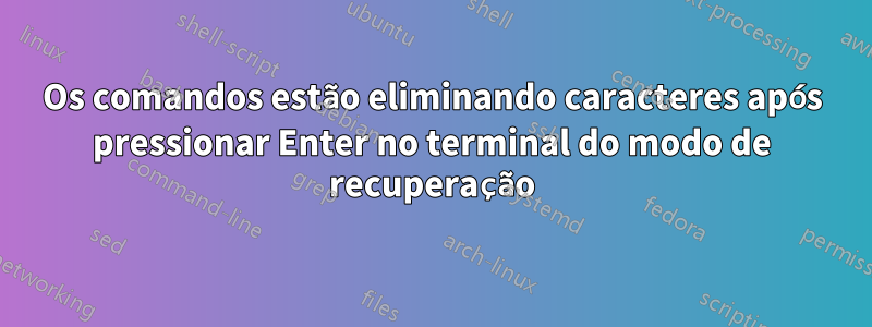 Os comandos estão eliminando caracteres após pressionar Enter no terminal do modo de recuperação