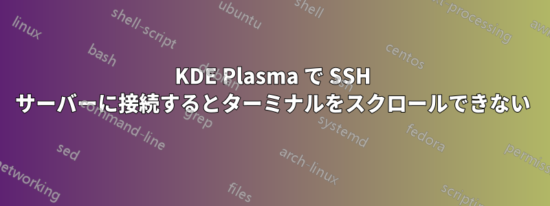 KDE Plasma で SSH サーバーに接続するとターミナルをスクロールできない