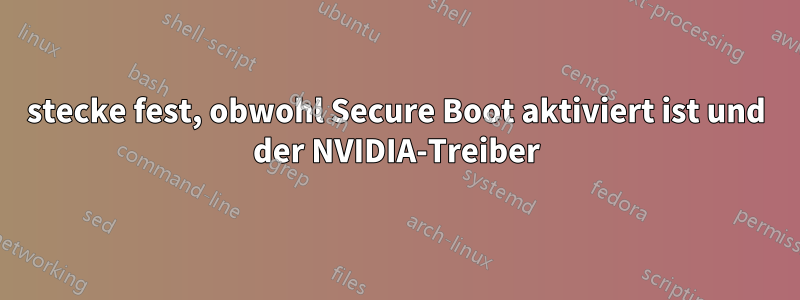 stecke fest, obwohl Secure Boot aktiviert ist und der NVIDIA-Treiber