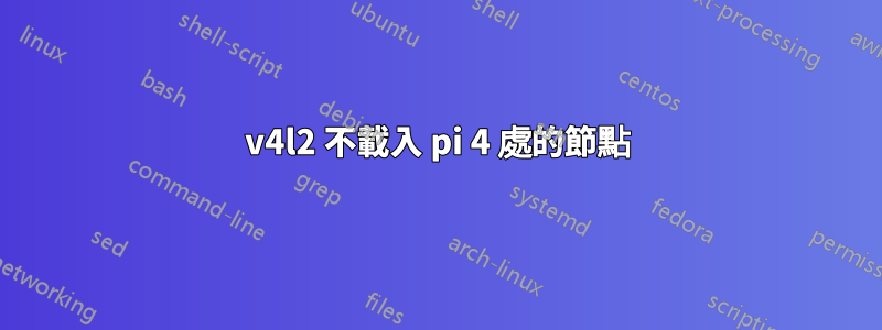 v4l2 不載入 pi 4 處的節點