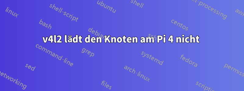 v4l2 lädt den Knoten am Pi 4 nicht