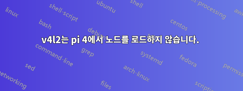 v4l2는 pi 4에서 노드를 로드하지 않습니다.