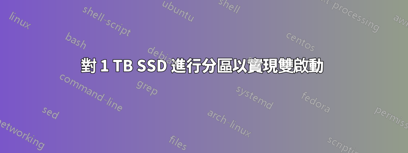 對 1 TB SSD 進行分區以實現雙啟動