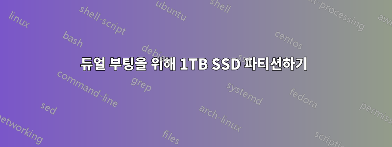 듀얼 부팅을 위해 1TB SSD 파티션하기