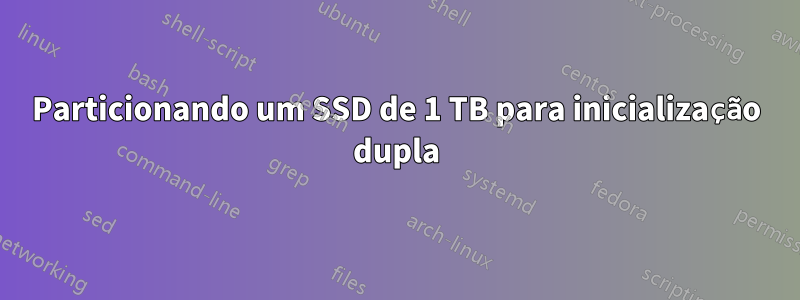 Particionando um SSD de 1 TB para inicialização dupla