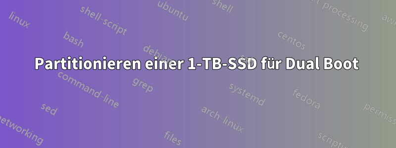 Partitionieren einer 1-TB-SSD für Dual Boot