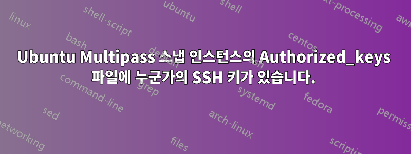 Ubuntu Multipass 스냅 인스턴스의 Authorized_keys 파일에 누군가의 SSH 키가 있습니다.