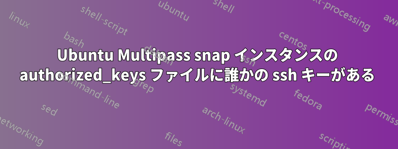 Ubuntu Multipass snap インスタンスの authorized_keys ファイルに誰かの ssh キーがある