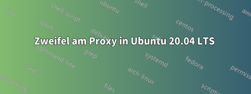 Zweifel am Proxy in Ubuntu 20.04 LTS