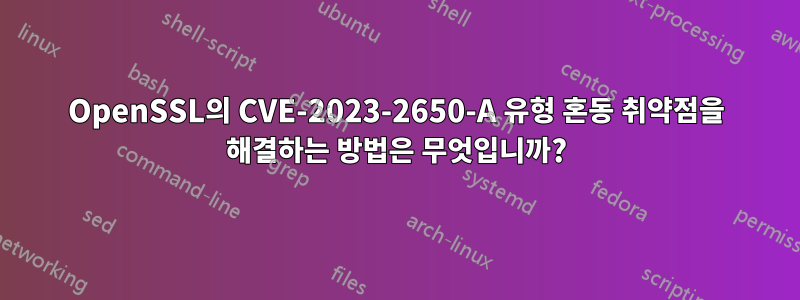 OpenSSL의 CVE-2023-2650-A 유형 혼동 취약점을 해결하는 방법은 무엇입니까?