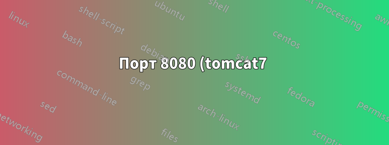 Порт 8080 (tomcat7) не подключается извне локального компьютера