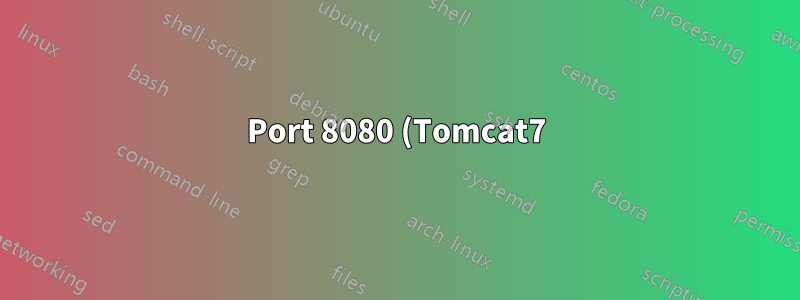 Port 8080 (Tomcat7) stellt keine Verbindung von außerhalb des lokalen Hostcomputers her