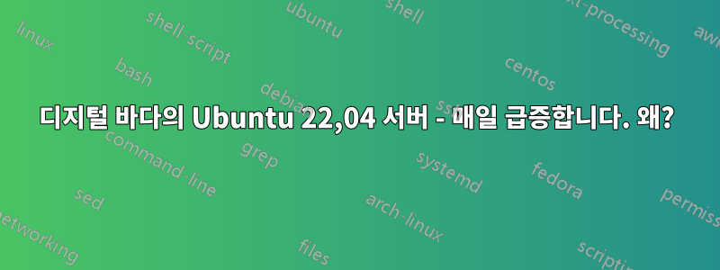 디지털 바다의 Ubuntu 22,04 서버 - 매일 급증합니다. 왜?