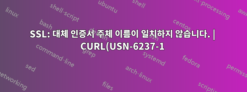SSL: 대체 인증서 주체 이름이 일치하지 않습니다. | CURL(USN-6237-1)의 새로운 릴리스는 고통을 가져옵니다.