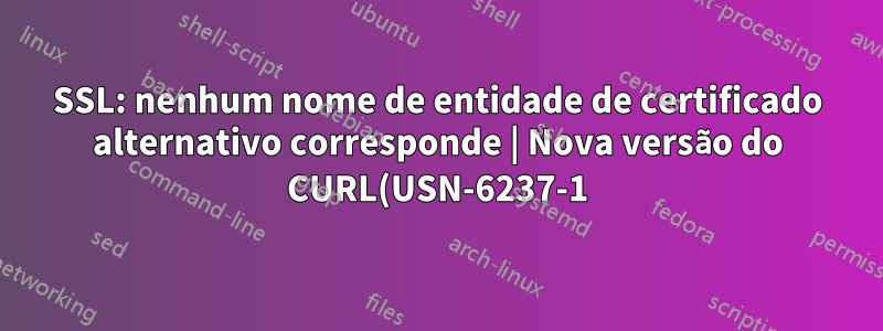 SSL: nenhum nome de entidade de certificado alternativo corresponde | Nova versão do CURL(USN-6237-1) traz sofrimento