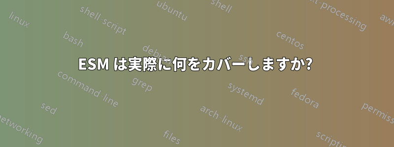 ESM は実際に何をカバーしますか?