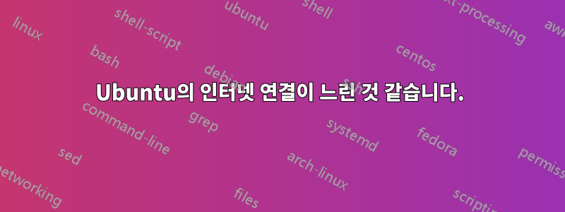 Ubuntu의 인터넷 연결이 느린 것 같습니다.