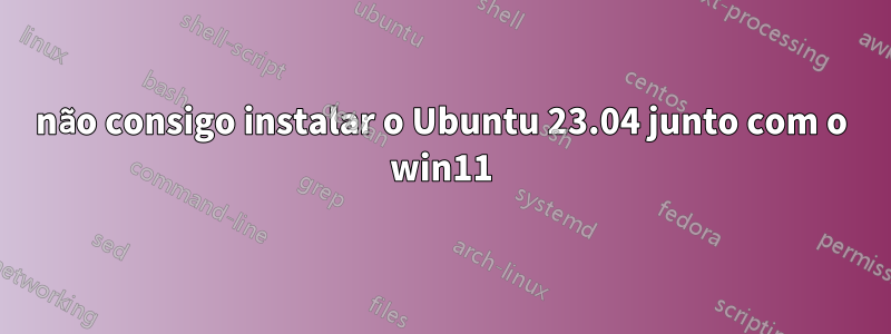 não consigo instalar o Ubuntu 23.04 junto com o win11