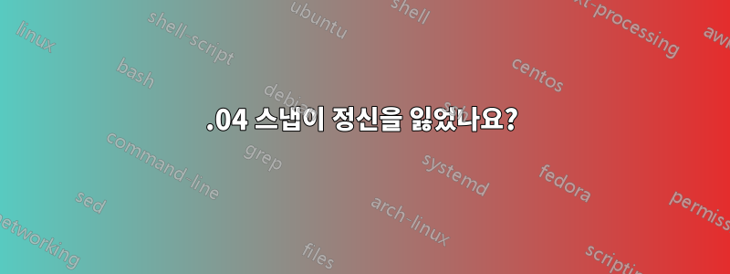 20.04 스냅이 정신을 잃었나요?