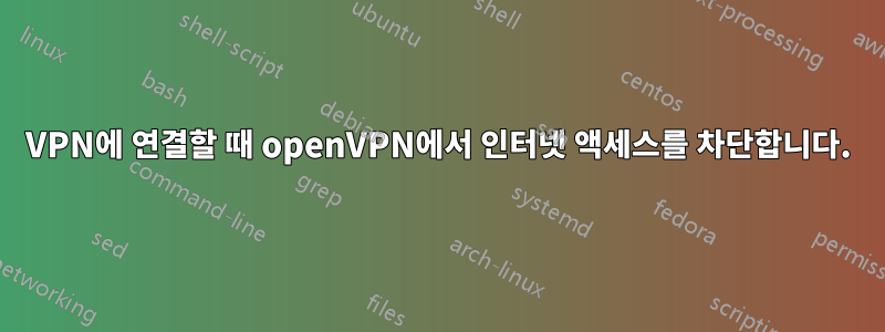 VPN에 연결할 때 openVPN에서 인터넷 액세스를 차단합니다.