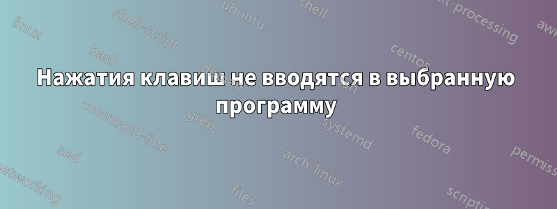 Нажатия клавиш не вводятся в выбранную программу