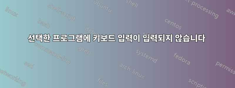 선택한 프로그램에 키보드 입력이 입력되지 않습니다