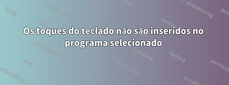 Os toques do teclado não são inseridos no programa selecionado