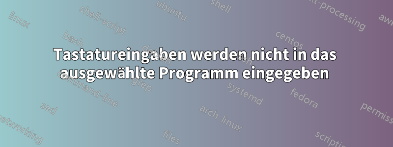 Tastatureingaben werden nicht in das ausgewählte Programm eingegeben