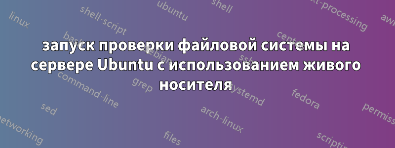 запуск проверки файловой системы на сервере Ubuntu с использованием живого носителя