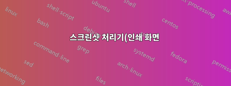 스크린샷 처리기(인쇄 화면) 문제