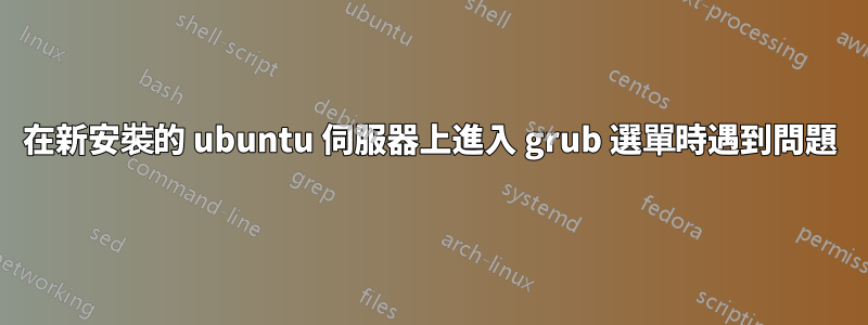 在新安裝的 ubuntu 伺服器上進入 grub 選單時遇到問題