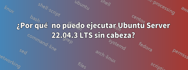 ¿Por qué no puedo ejecutar Ubuntu Server 22.04.3 LTS sin cabeza?