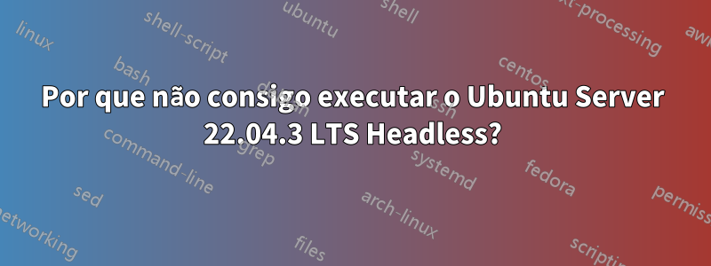 Por que não consigo executar o Ubuntu Server 22.04.3 LTS Headless?