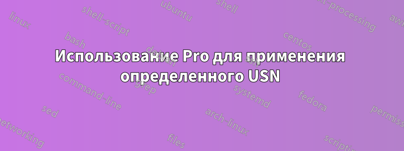 Использование Pro для применения определенного USN