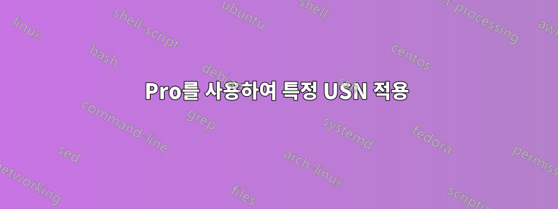 Pro를 사용하여 특정 USN 적용