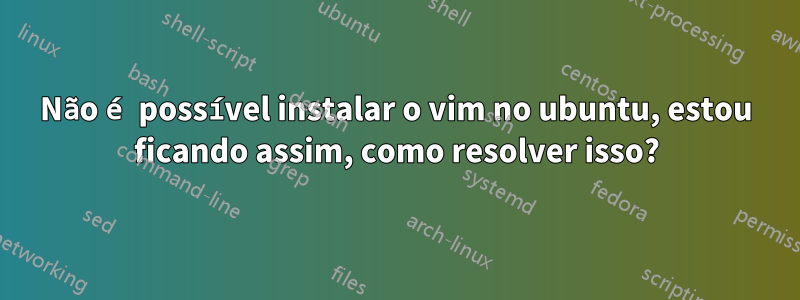 Não é possível instalar o vim no ubuntu, estou ficando assim, como resolver isso?