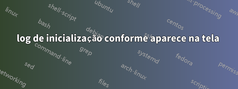 log de inicialização conforme aparece na tela
