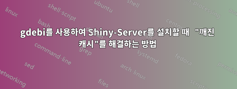 gdebi를 사용하여 Shiny-Server를 설치할 때 "깨진 캐시"를 해결하는 방법