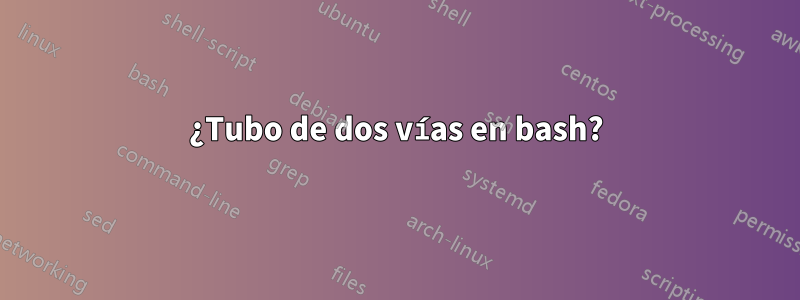 ¿Tubo de dos vías en bash?