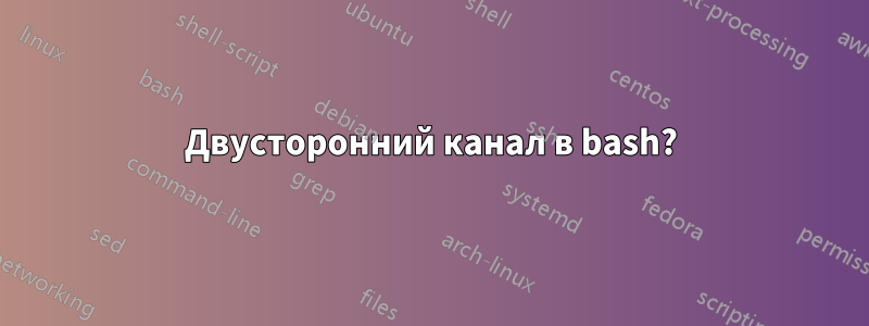 Двусторонний канал в bash?