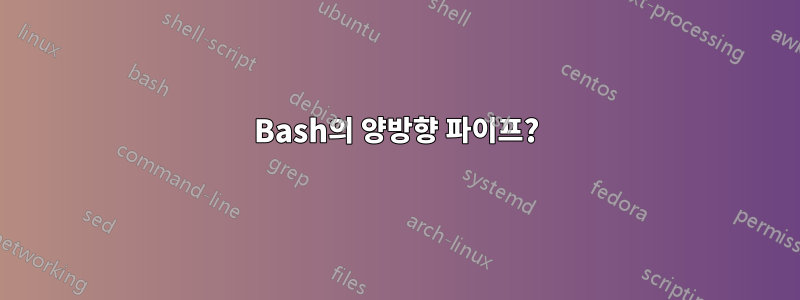 Bash의 양방향 파이프?