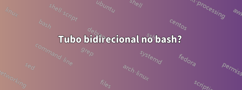 Tubo bidirecional no bash?