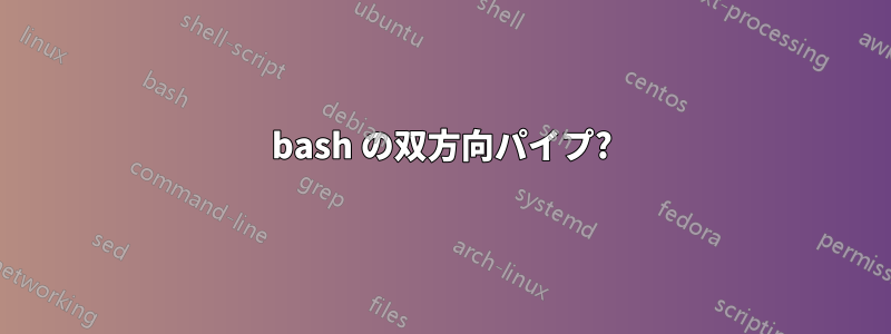 bash の双方向パイプ?