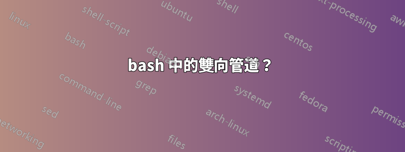 bash 中的雙向管道？
