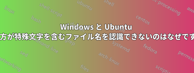 Windows と Ubuntu の両方が特殊文字を含むファイル名を認識できないのはなぜですか?