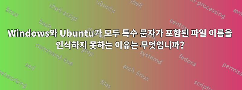 Windows와 Ubuntu가 모두 특수 문자가 포함된 파일 이름을 인식하지 못하는 이유는 무엇입니까?