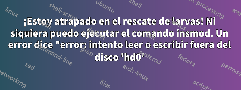 ¡Estoy atrapado en el rescate de larvas! Ni siquiera puedo ejecutar el comando insmod. Un error dice "error: intento leer o escribir fuera del disco 'hd0'