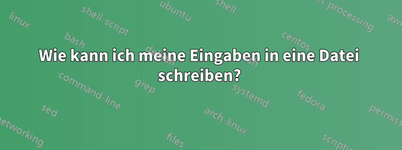 Wie kann ich meine Eingaben in eine Datei schreiben?