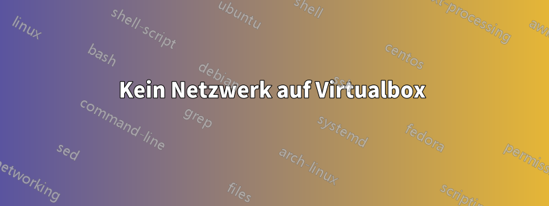 Kein Netzwerk auf Virtualbox